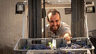 Bodegas Maranones