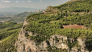 Weinberge in Priorat