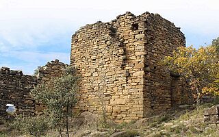 Burg, Weingut, Costers del Segre