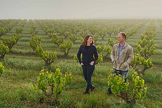 Winzerin und Winzer auf dem Weinfeld des Weinguts Swinney Winzerin und Winzer auf dem Weinfeld des Weinguts Swinney