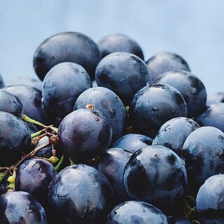 Voluminöse, kräftige Weine