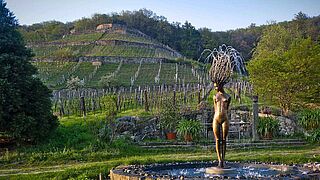 Weinberge von Klaus Zimmerling Weinberge von Klaus Zimmerling