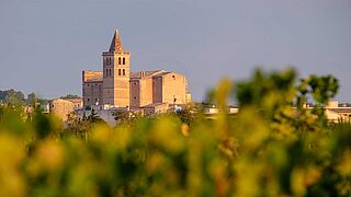 Mesquida Mora Mesquida Mora