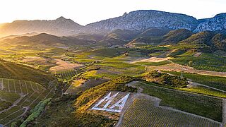 Weinberge von Mas Amiel in Roussillon
