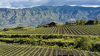 Weinfeld Italien, Berge Weinfeld Italien, Berge