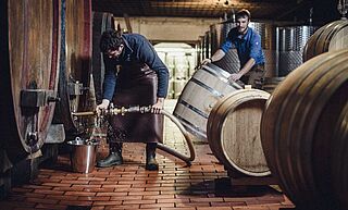 Arbeiten im Weinkeller beim Weingut Jülg