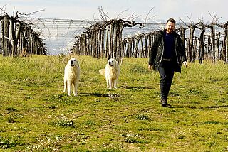 Weingut Tiberio Weingut Tiberio