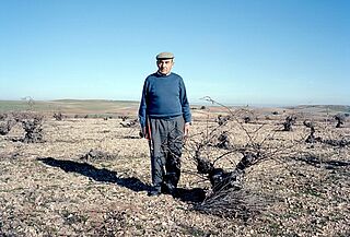 Clemente Rodriguez Clemente Rodriguez