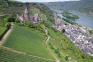 Weinberg Fürstenberg