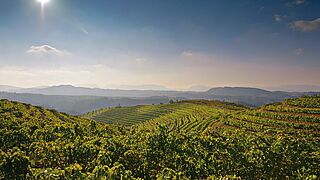 Die Landschaft Aragoniens