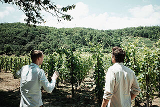 Elias bei Chapoutier