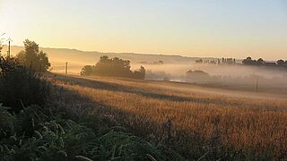 Domaine Berthoumieu Domaine Berthoumieu