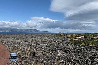 Weingarten Azores Wine Company