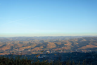 Piemont Jahrgang 2021