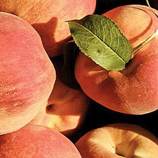 Wein mit wenig Säure