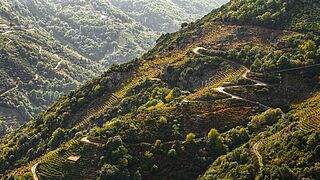 Die Landschaft von Galicien