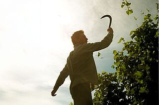 Person bei der Arbeit im Weinberg