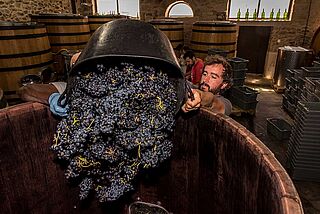 Kellerarbeit bei Comando G Kellerarbeit bei Comando G