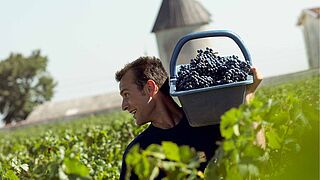 La Lagune Bordeaux Weingut