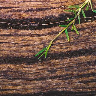 Weine mit einem hohen Anteil an Gerbstoffen