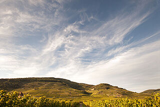 Die Landschaft des Elsass