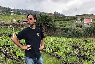 Suertes del Marques Suertes del Marques