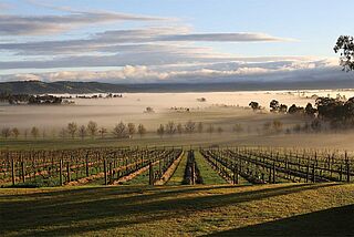 Australien Yarra Valley Australien Yarra Valley