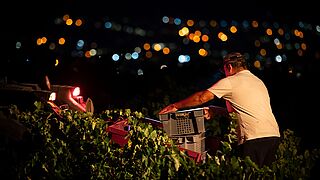 Bodegas Maranones