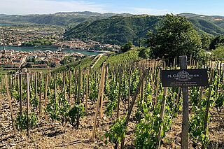 Weingut von Chapoutier