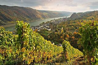 Sub 2025 aus Deutschland