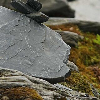 mineralisch schmeckende Weine