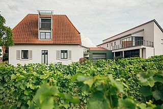 Haus des Haus des Weinguts Kranz zwischen Weinreben Haus des Haus des Weinguts Kranz zwischen Weinreben