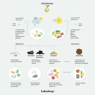 Chardonnay Geschmacksnoten