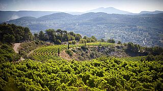 Schöne Landschaft in der Provence