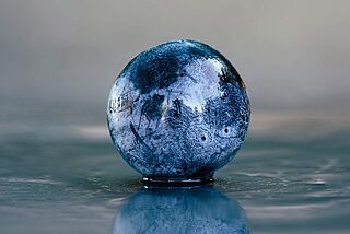 Cabernet Sauvignon Traube