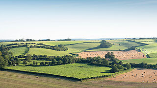 Die Landschaft der Normandie