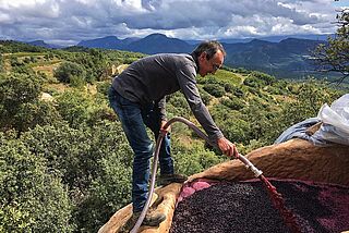 Winzer bei der Maischeverarbeitung auf dem Weinberg Winzer bei der Maischeverarbeitung auf dem Weinberg
