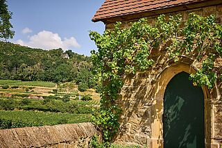 Die Landschaft rund um das Weingut Andres