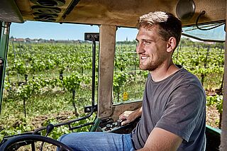 Der Winzer in den Weinbergen