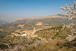Weinberge in Priorat