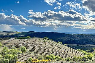 Die Landschaft Aragoniens