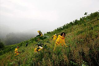 Sattlerhof Sattlerhof