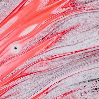 unkonventionelle Weine