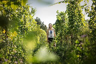 Naturbelassener Weinberg vom Weingut Frank John in der Pfalz Naturbelassener Weinberg vom Weingut Frank John in der Pfalz