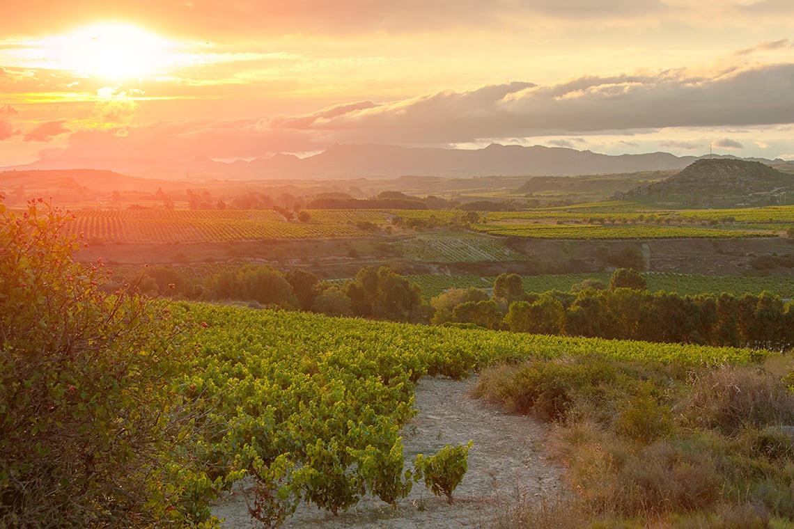 Rioja