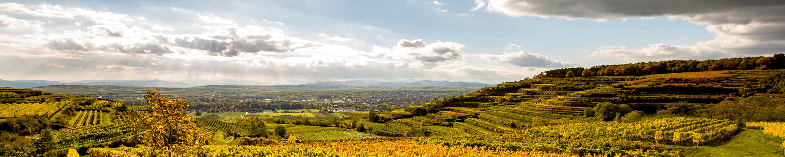 Panorama in Österreich