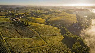 Weinregion Entre Deux Mers, Weinfelder