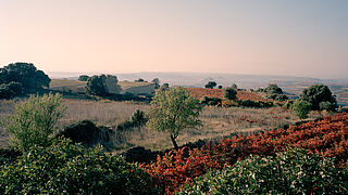 Rioja Alavesa