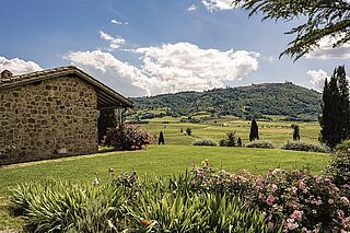 Siro Pacenti Weingut