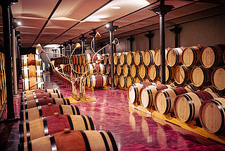 Tenuta dell Ornellaia